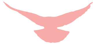 1696934843858055 1696934843858055